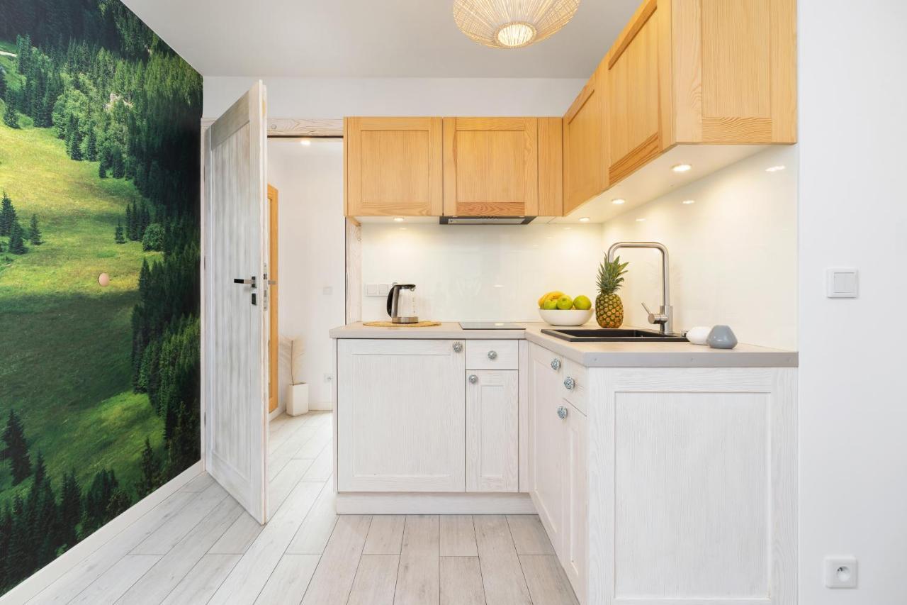 Apartamenty Butikowe & Sauna Zakopane By Renters Εξωτερικό φωτογραφία